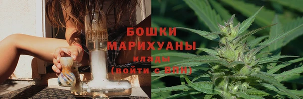 ПСИЛОЦИБИНОВЫЕ ГРИБЫ Балабаново