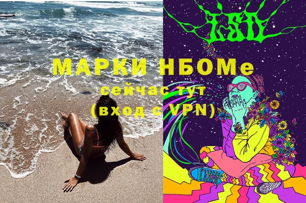 ПСИЛОЦИБИНОВЫЕ ГРИБЫ Балабаново