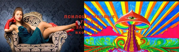 спайс Балахна