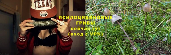 spice Баксан