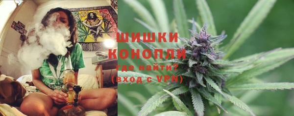 ПСИЛОЦИБИНОВЫЕ ГРИБЫ Балабаново
