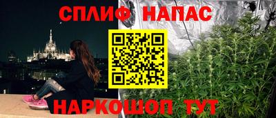 индика Балашиха