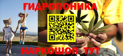 индика Балашиха