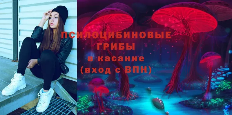 где продают   Воркута  Галлюциногенные грибы MAGIC MUSHROOMS 