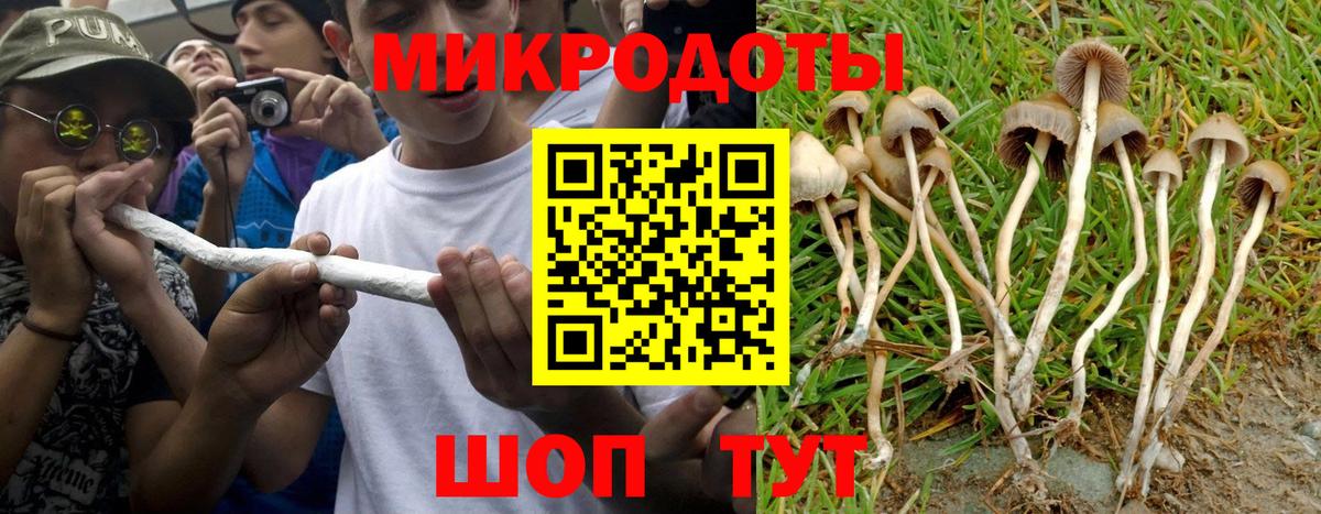 Галлюциногенные грибы Psilocybine cubensis  Вход с VPN  Воркута  Псилоцибиновые грибы мицелий 