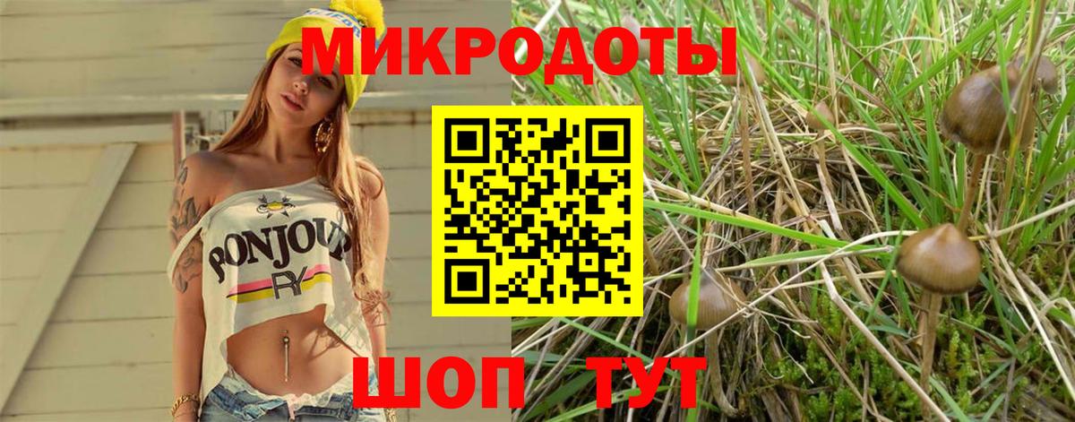 Галлюциногенные грибы Cubensis  Воркута 